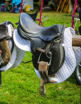partir en séjour linguistique à brecon au pays de galles et faire de l'équitation au centre équestre cantref