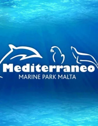 apprendre l'anglais à pembroke et visiter méditerranéo marine park