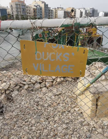 partir en séjour linguistique à il gzira et aller à duck village