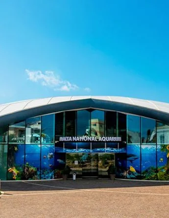 partir en séjour linguistique à st paul's bay et visiter malta national aquarium