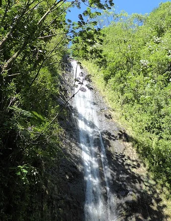 partir en séjour linguistique à hawaï et voir les chutes de manoa