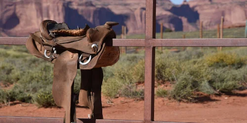 séjour linguistique à ef education first équitation