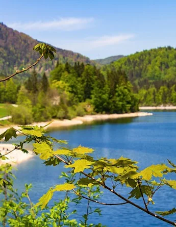 séjour linguistique enfants adolescents à schwarzsee en suisse
