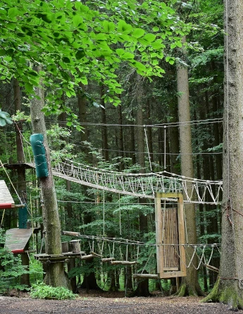 séjour linguistique juniors forcé incontournables parcobranche