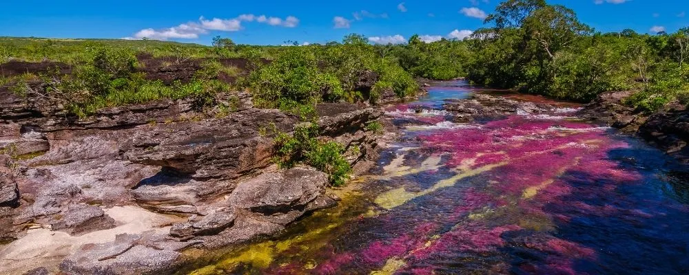 l'assurance pvt colombie visiter colombie cano cristales