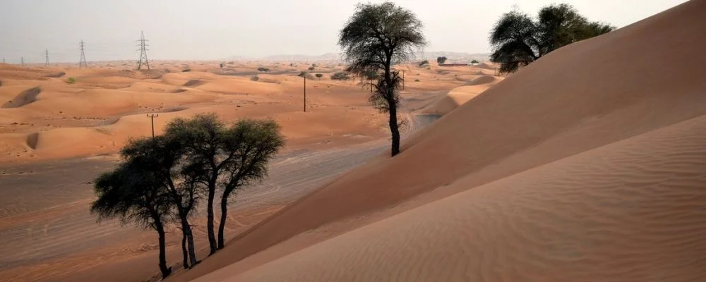 visa-dubai-transit-pour-algerien-pourquoi-choisir-desert-dubai