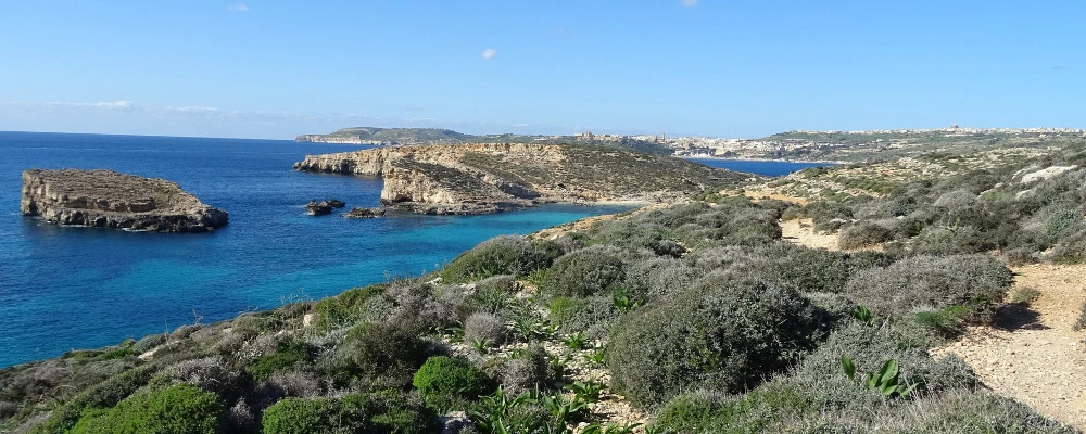 Voyage linguistique jeunes à Alpha School à St Paul's Bay